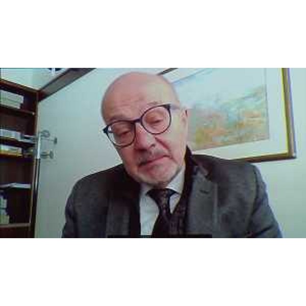 Il Difensore civico Fvg, Arrigo De Pauli, in videconferenza durante la riunione dell'UP - Il Difensore civico Fvg, Arrigo De Pauli, in videconferenza durante la riunione dell'UP