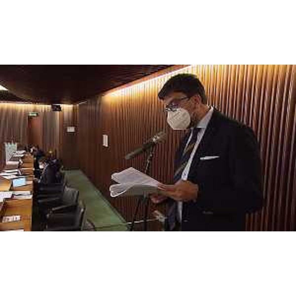 Mauro Capozzella (M5S) - Mauro Capozzella (M5S)