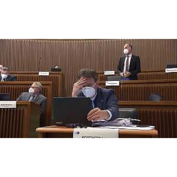 Luca Boschetti (Lega) - Luca Boschetti (Lega)