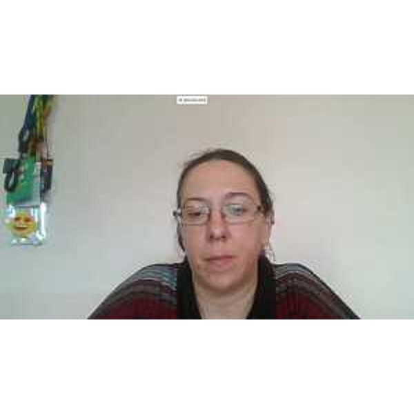 Ilaria Dal Zovo (M5S) in videoconferenza - Ilaria Dal Zovo (M5S) in videoconferenza