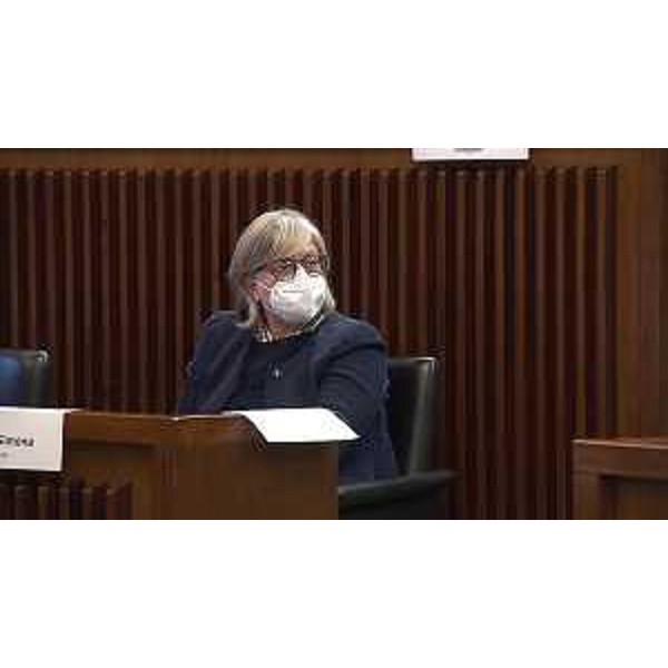 Simona Liguori (Cittadini) - Simona Liguori (Cittadini)