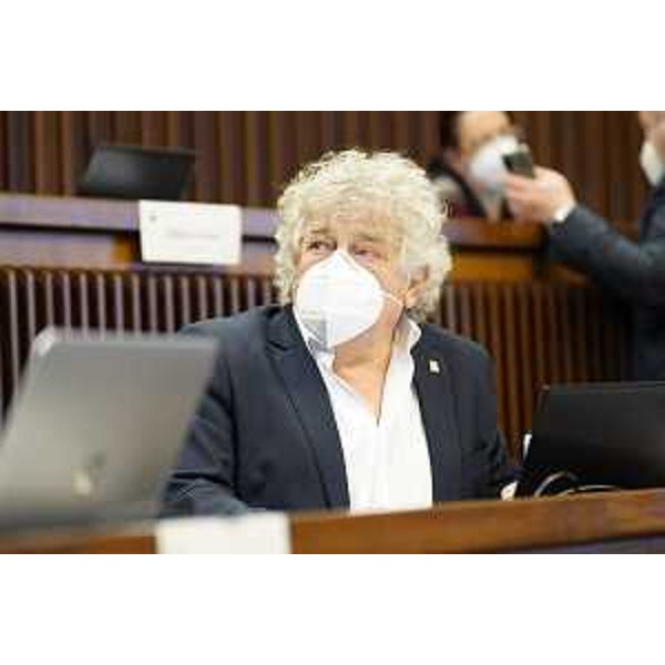 Elia Miani (Lega) - Elia Miani (Lega)