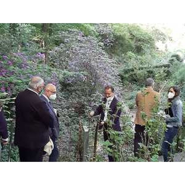L'assessore regionale Patrimonio Sebastiano Callari (secondo da sinistra) visita il Giardino Viatori. Al suo fianco il sindaco di Gorizia Rodolfo Ziberna - L'assessore regionale Patrimonio Sebastiano Callari (secondo da sinistra) visita il Giardino Viatori. Al suo fianco il sindaco di Gorizia Rodolfo Ziberna
