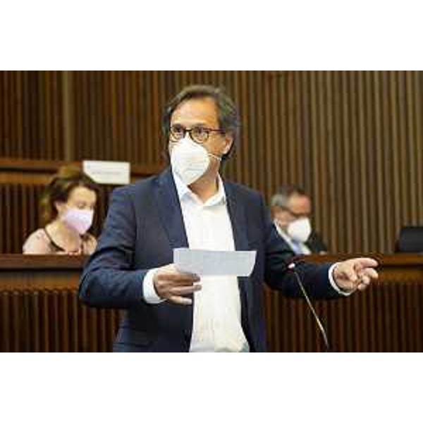 Mauro Di Bert (Progetto Fvg/Ar) - Mauro Di Bert (Progetto Fvg/Ar)