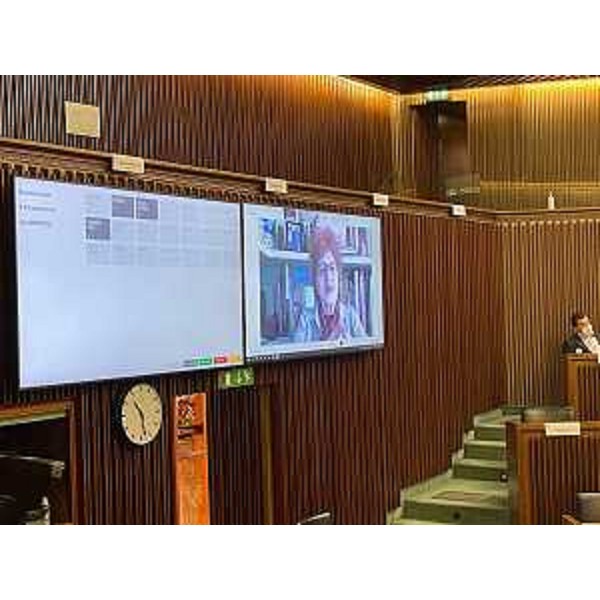 L'intervento da remoto dell'assessore Tiziana Gibelli - L'intervento da remoto dell'assessore Tiziana Gibelli