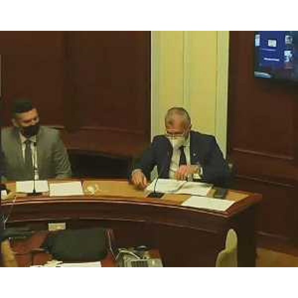 Piero Mauro Zanin accanto al presidente della XIV Commissione del Senato, Dario Stefano - Piero Mauro Zanin accanto al presidente della XIV Commissione del Senato, Dario Stefano