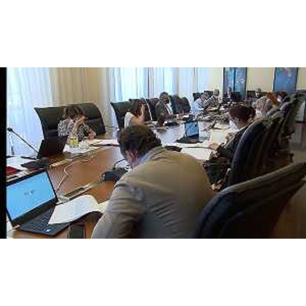 Il Comitato ristretto della III Commissione consiliare permanente - Il Comitato ristretto della III Commissione consiliare permanente