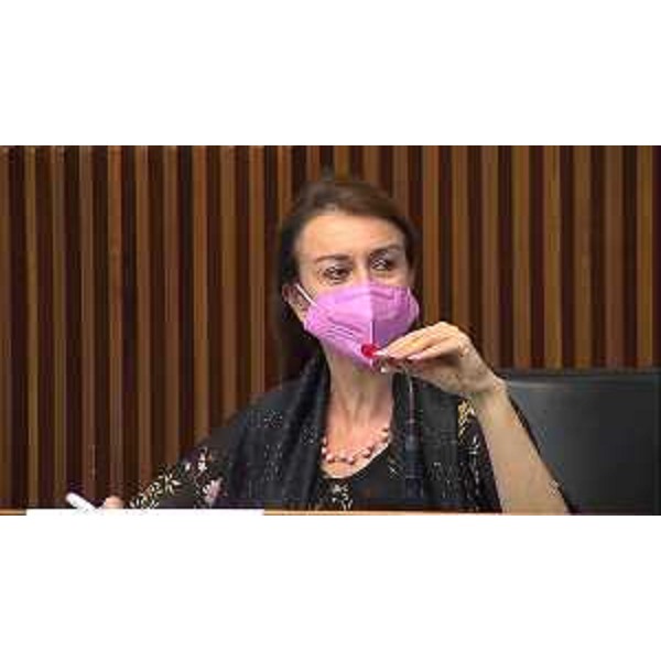 Mara Piccin (FI) mentre presiede la IV Commissione consiliare - Mara Piccin (FI) mentre presiede la IV Commissione consiliare