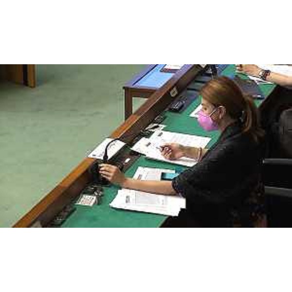 Mara Piccin (FI), presidente della IV Commissione - Mara Piccin (FI), presidente della IV Commissione