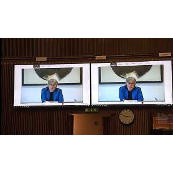 L'assessore Sergio Emidio Bini, che è intervenuto da remoto - L'assessore Sergio Emidio Bini, che è intervenuto da remoto