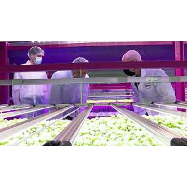 Il governatore della Regione Massimiliano Fedriga insieme all'amministratore delegato della Zero Daniele Modesto all'iterno dello stabilimento produttivo - Il governatore della Regione Massimiliano Fedriga insieme all'amministratore delegato della Zero Daniele Modesto all'iterno dello stabilimento produttivo