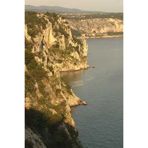 Le Falesie di Duino (Trieste) e la Baia di Sistiana (Trieste) viste dal Sentiero Rilke. Foto: Archivio del Corpo forestale regionale - Marco Pradella