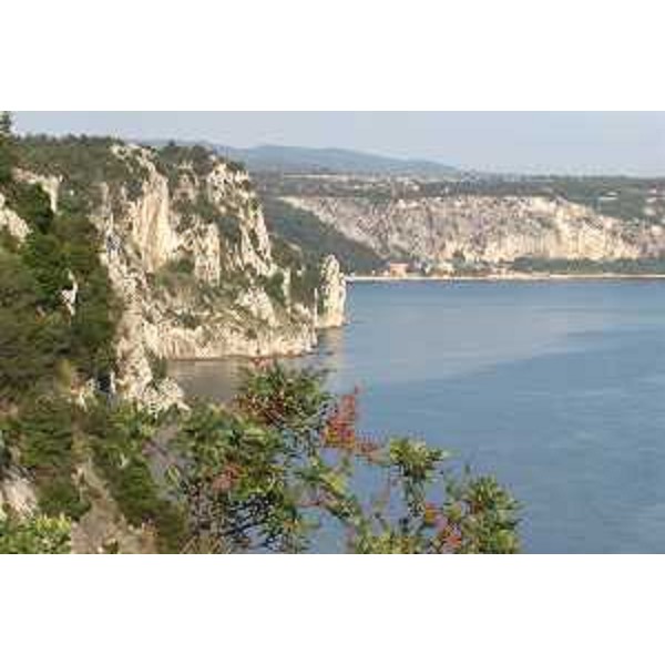 Le Falesie di Duino (Trieste) e la Baia di Sistiana (Trieste) viste dal Sentiero Rilke. Foto: Archivio del Corpo forestale regionale - Marco Pradella