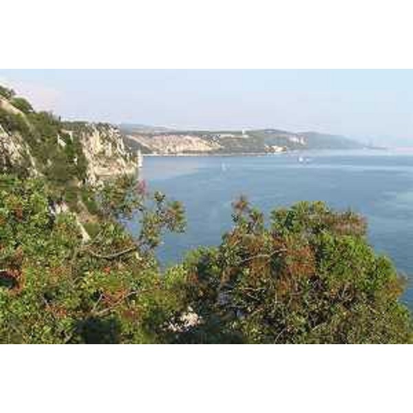 Le Falesie di Duino (Trieste) e la costa triestina viste dal Sentiero Rilke. Foto: Archivio del Corpo forestale regionale - Marco Pradella