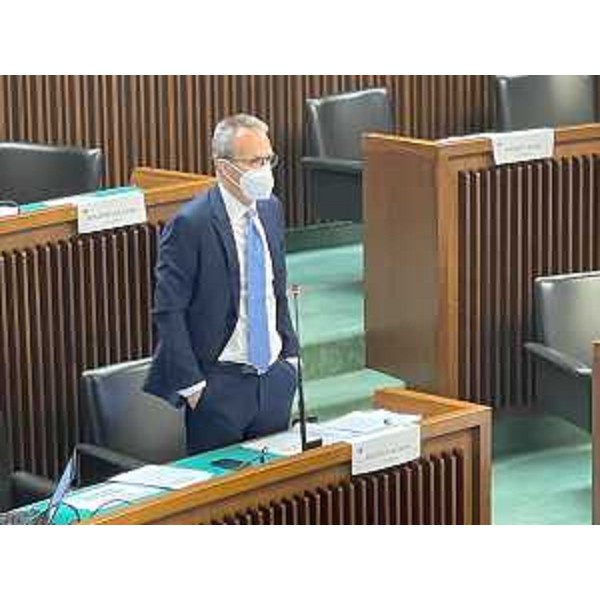 Francesco Russo (Pd) durante il question time - Francesco Russo (Pd) durante il question time