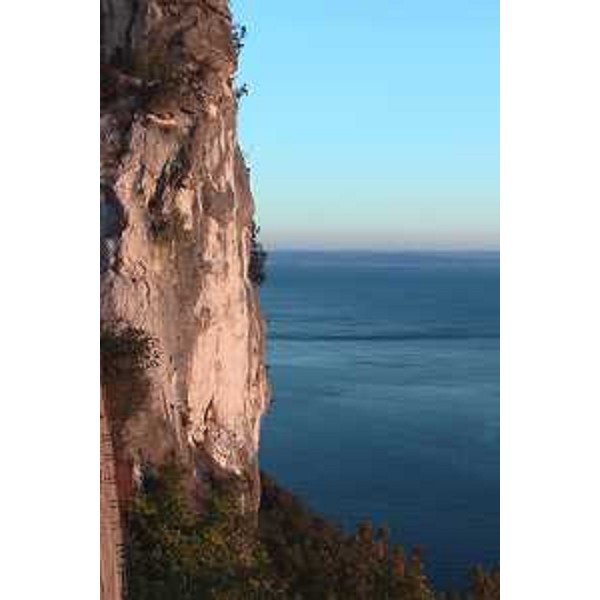 Parete di roccia lungo la Strada Costiera, verso Trieste. Foto: Archivio del Corpo forestale regionale - Marco Pradella
