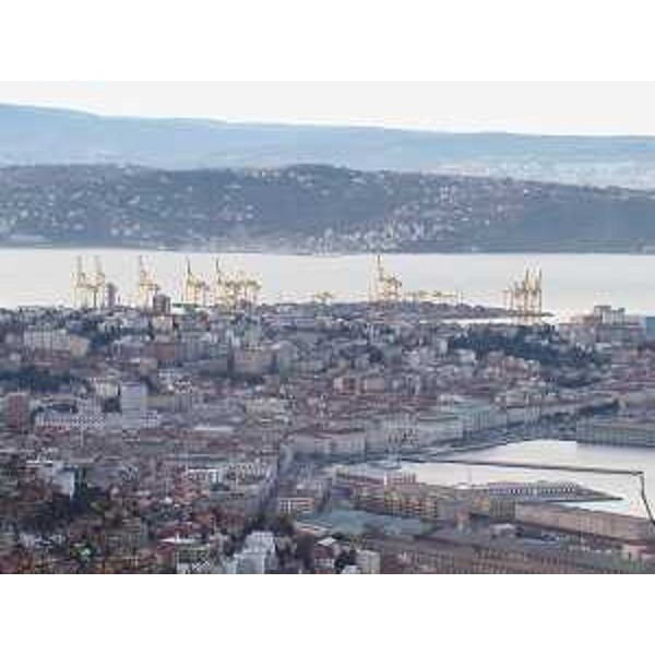 Trieste e le gru del Porto Nuovo viste dall'Altipiano Carsico. Foto: Archivio del Corpo forestale regionale - Marco Pradella