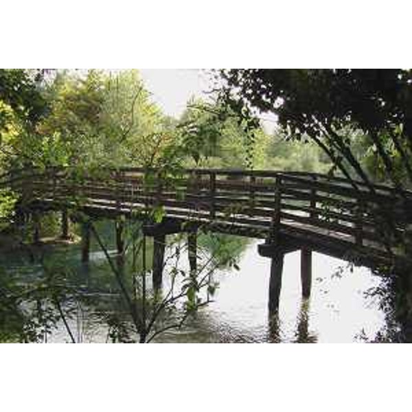 Polcenigo (Pordenone): Ponte sul Livenza alla Sorgente della Santissima. Foto: Archivio del Corpo forestale regionale - Marco Pradella