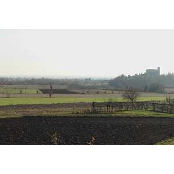 Fagagna (Udine): coltivi e Castello di Villalta. Foto: Archivio del Corpo forestale regionale - Marco Pradella