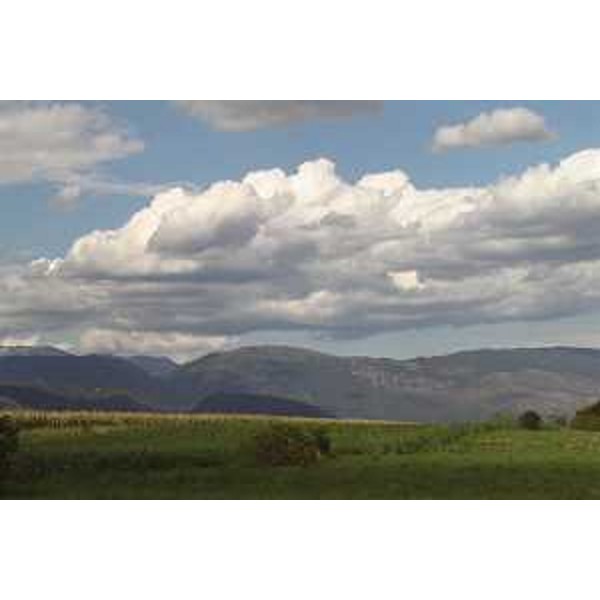 Maniago (Pordenone): nubi cumuliformi e coltivi in Cossana; sullo sfondo il Monte Valinis. Foto: Archivio del Corpo forestale regionale - Marco Pradella