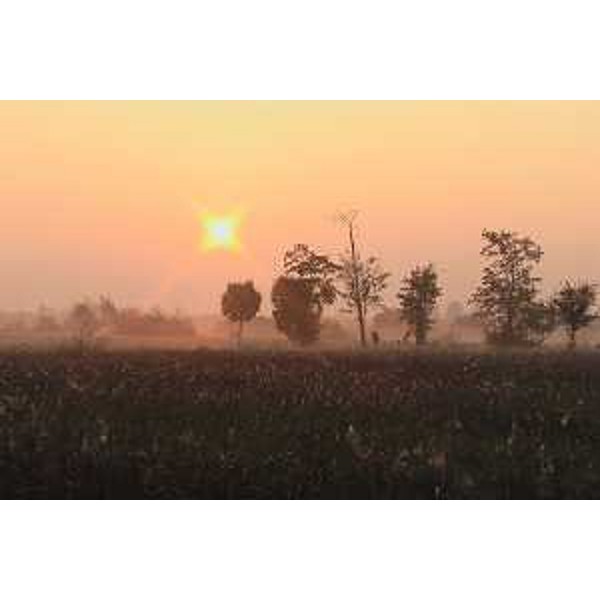 Vivaro (Pordenone): l'alba sui campi. Foto: Archivio del Corpo forestale regionale - Marco Pradella