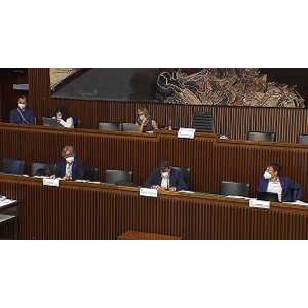 Alberto Budai (Lega), presidente della II Commissione), con l'assessore regionale Sergio Emidio Bini - Alberto Budai (Lega), presidente della II Commissione), con l'assessore regionale Sergio Emidio Bini