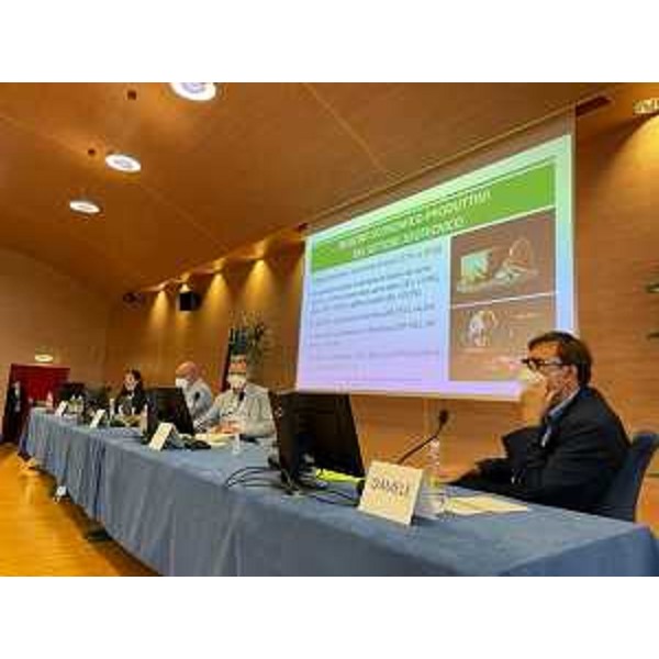 La presentazione dell'indagine congiunturale sul mondo rurale 2020 e sulla viticoltura. - La presentazione dell'indagine congiunturale sul mondo rurale 2020 e sulla viticoltura. 