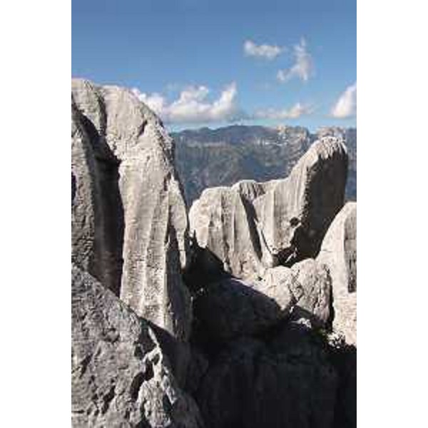 Barcis (Pordenone): blocchi carsici presso la Vetta dei Cameroni e il Monte Resettum. Foto: Archivio del Corpo forestale regionale - Marco Pradella