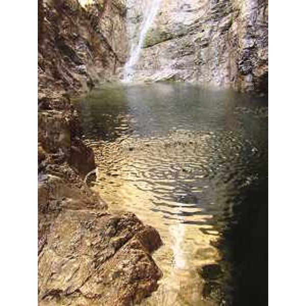 Claut (Pordenone): pozza e cascatella del Rio de La Gialina. Foto: Archivio del Corpo forestale regionale - Marco Pradella