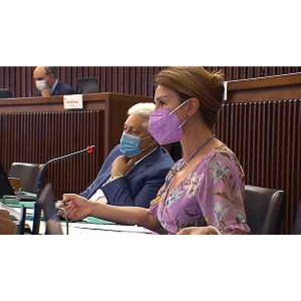 Mara Piccin (FI), prima firmataria della pdl votata in aula - Mara Piccin (FI), prima firmataria della pdl votata in aula