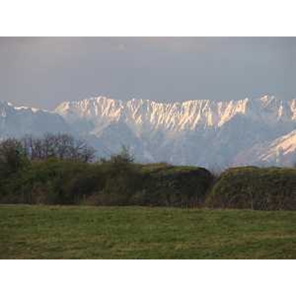 Cime del Monte I Musi viste col terrapieno di Palmanova (Udine). Foto: Archivio del Corpo forestale regionale - Marco Pradella