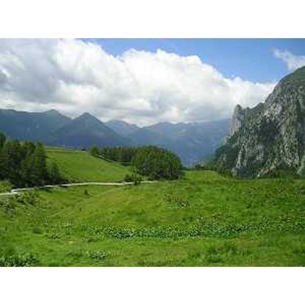 Paluzza (Udine): la strada che sale a Malga Pramosio, con Gamspitz a dx e la Val di Collina. Foto: Archivio del Corpo forestale regionale - Marco Pradella