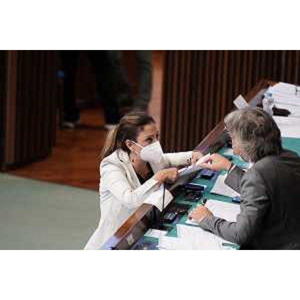 Maddalena Spagnolo (Lega) con l'assessore Fvg alle Attività produttive, Sergio Emidio Bini - Maddalena Spagnolo (Lega) con l'assessore Fvg alle Attività produttive, Sergio Emidio Bini