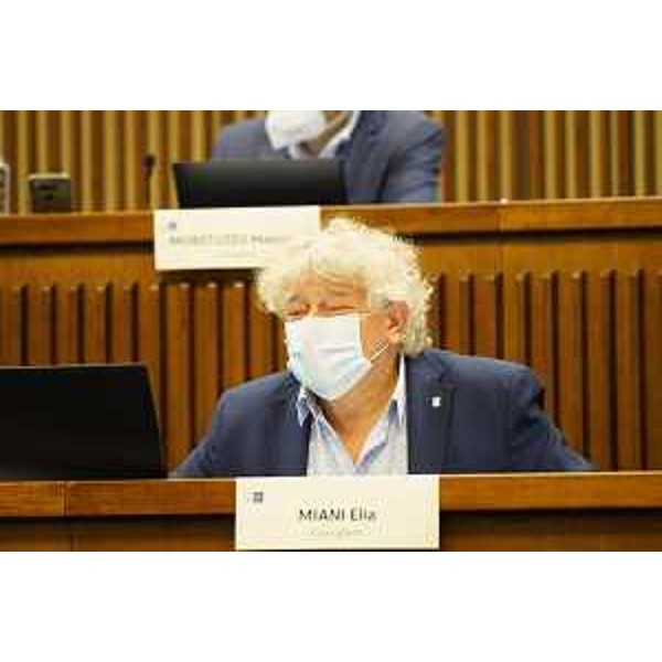 Elia Miani (Lega) - Elia Miani (Lega)