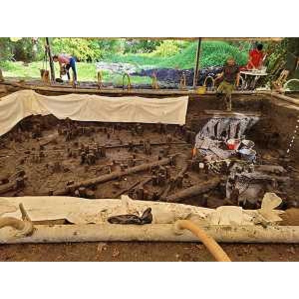 Ritrovamenti neolitici negli scavi di Palù di Livenza - Ritrovamenti neolitici negli scavi di Palù di Livenza