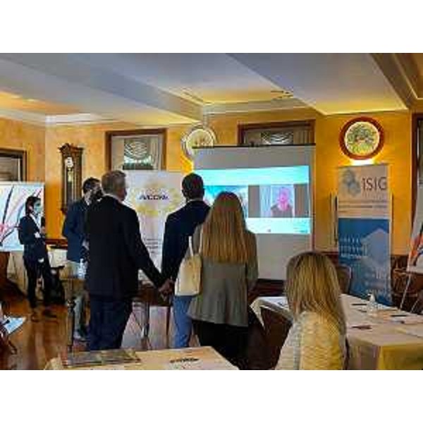 L'intervento on line di Alina Tatarenko (direttrice del Centro d'eccellenza della buona Governance del Consiglio d'Europa) - L'intervento on line di Alina Tatarenko (direttrice del Centro d'eccellenza della buona Governance del Consiglio d'Europa) 