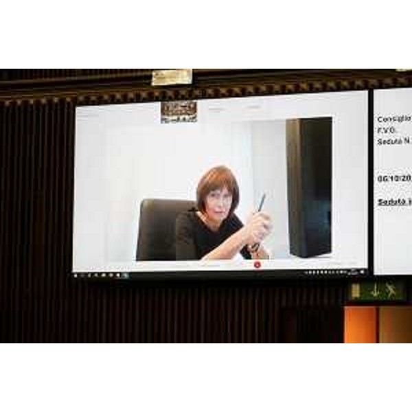 L'assessore Fvg al Lavoro, Alessia Rosolen, durante il suo intervento da remoto - L'assessore Fvg al Lavoro, Alessia Rosolen, durante il suo intervento da remoto