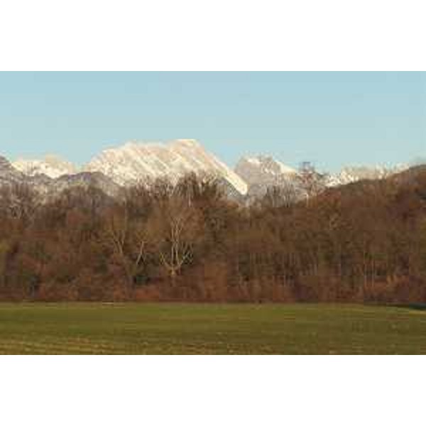 Il Monte Caserine Alte visto da Sequals (Pordenone). Foto: Archivio del Corpo forestale regionale - Marco Pradella