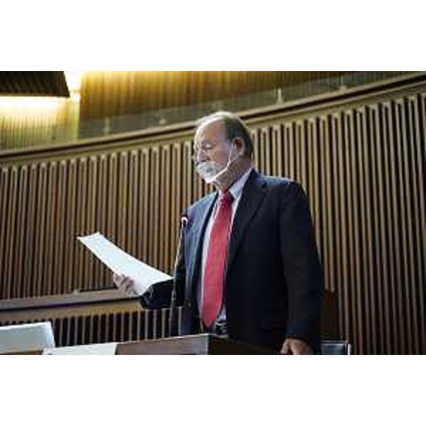 Walter Zalukar (Gruppo Misto) - Walter Zalukar (Gruppo Misto)