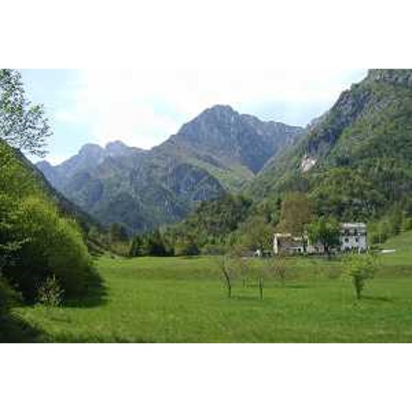 Frazione Pradiel di Tramonti di Sopra (Pordenone) e il Monte Frascola sullo sfondo. Foto: Archivio del Corpo forestale regionale - Marco Pradella