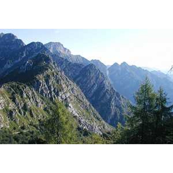 Tratto della Strada degli Alpini in Val Silisia, con il Monte Dosaip e il Monte Spiciat. Foto: Archivio del Corpo forestale regionale - Marco Pradella