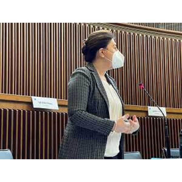 Mariagrazia Santoro (Pd) - Mariagrazia Santoro (Pd)