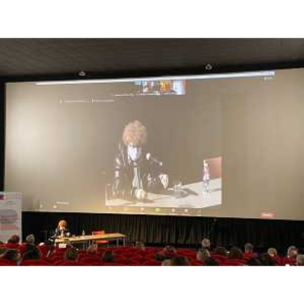 L'assessore del Friuli Venezia Giulia Tiziana Gibelli in videoconferenza da Gorizia con la Commissione cultura della Conferenza delle Regioni e Province autonome sul tema della Residenze artistiche - L'assessore del Friuli Venezia Giulia Tiziana Gibelli in videoconferenza da Gorizia con la Commissione cultura della Conferenza delle Regioni e Province autonome sul tema della Residenze artistiche