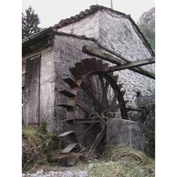 Tramonti di Sotto (Pordenone): vecchia ruota del Mulino di Campone. Foto: Archivio del Corpo forestale regionale - Marco Pradella