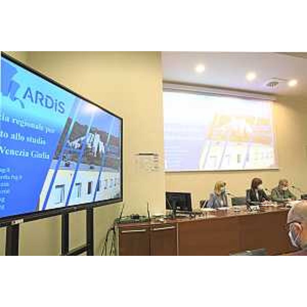 La conferenza stampa di presentazione dei dati Ardis tenuta a Trieste nel Palazzo della Regione in Sala Predonzani - La conferenza stampa di presentazione dei dati Ardis tenuta a Trieste nel Palazzo della Regione in Sala Predonzani