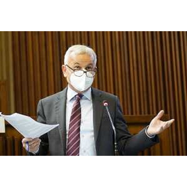 Giuseppe Sibau (ProgettoFvg/Ar) - Giuseppe Sibau (ProgettoFvg/Ar)