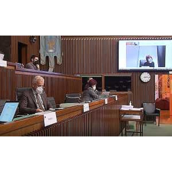 Un momento della seduta della VI Commissione, con l'intervento da remoto dell'assessore Alessia Rosolen - Un momento della seduta della VI Commissione, con l'intervento da remoto dell'assessore Alessia Rosolen