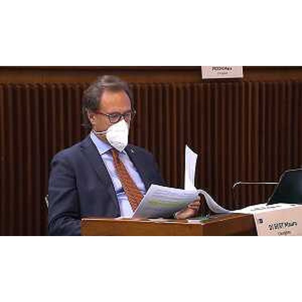 Mauro Di Bert (PrFvg/Ar) - Mauro Di Bert (PrFvg/Ar)