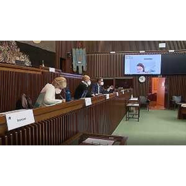 Lorenzo Tosolini (Lega) e l'assessore regionale Stefano Zannier, durante l'intervento on line di Mara Piccin (FI) - Lorenzo Tosolini (Lega) e l'assessore regionale Stefano Zannier, durante l'intervento on line di Mara Piccin (FI)