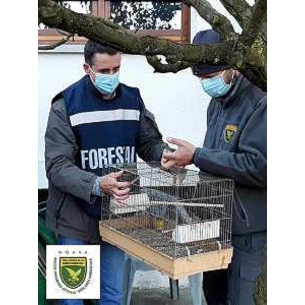 Gli uomini del Noava con parte del materiale sequestrato - Gli uomini del Noava con parte del materiale sequestrato